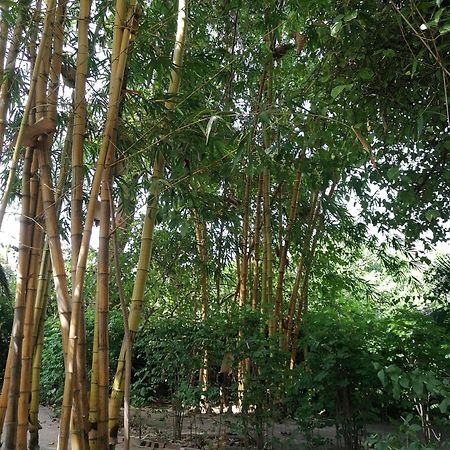 Tujereng Evergreen Eco Lodge Retreat מראה חיצוני תמונה