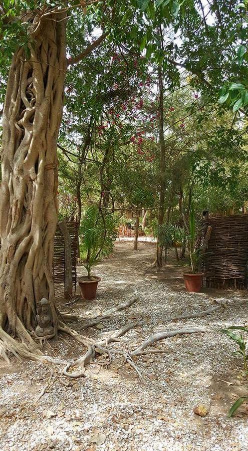 Tujereng Evergreen Eco Lodge Retreat מראה חיצוני תמונה